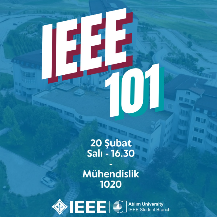 IEEE101 2024